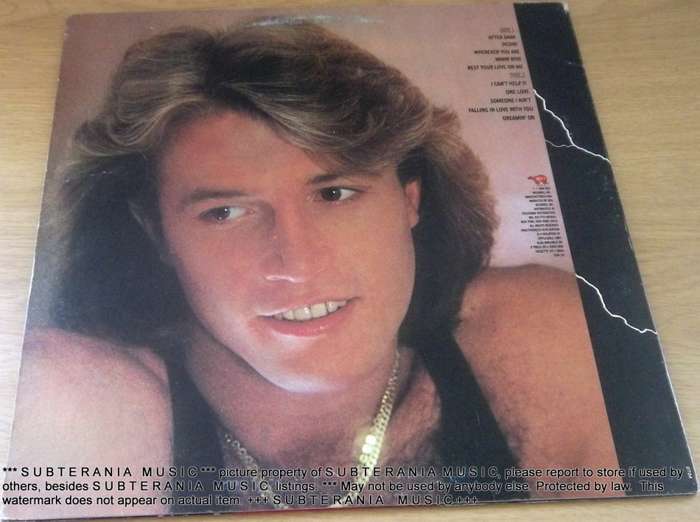 ANDY GIBB After Dark Vinyl Record