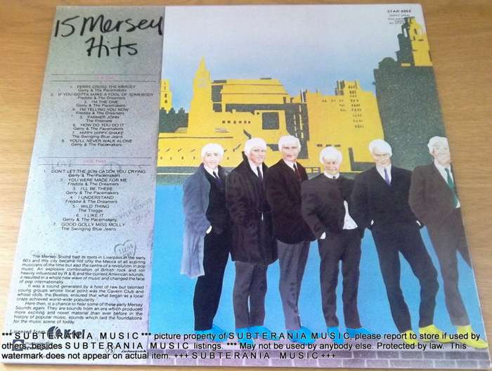 15 MERSEY HITS Vinyl Record