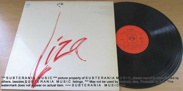 LIZA MINNELLI Live At The Winter Garden VINYL RECORD