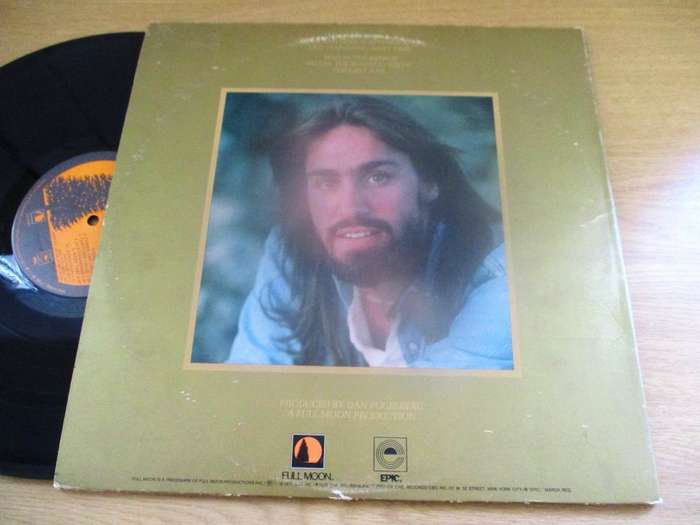 DAN FOGELBERG Captured Angels LP VINYL RECORD
