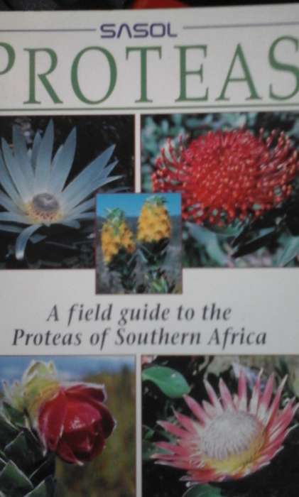 SASOL Proteas A Field Guide to the Proteas of Southern Africa