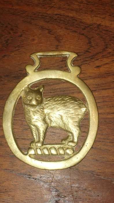 Horse brass collectable cat / Possum piece