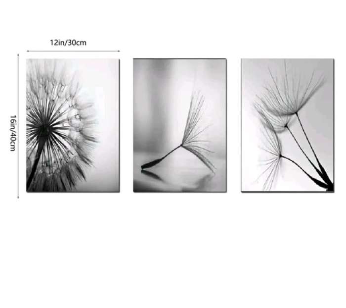 3 Piece Unframed Black & White Dandelion Wall Poster