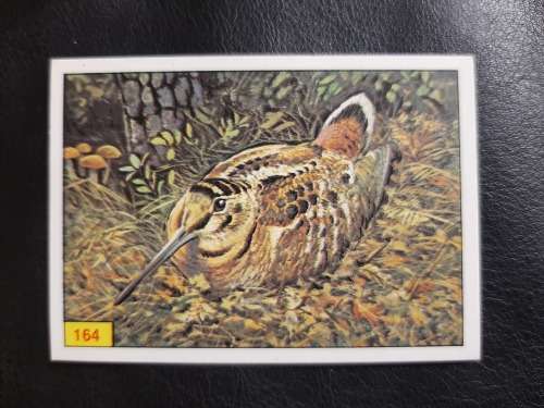 Figurine Panini Birds Sticker #164 (1979)