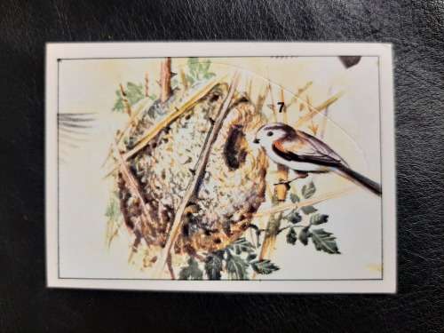 Figurine Panini Birds Sticker #144 (1979)