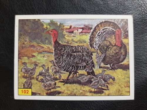 Figurine Panini Birds Sticker #102 (1979)