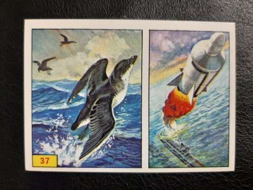 Figurine Panini Birds Sticker #37 (1979)