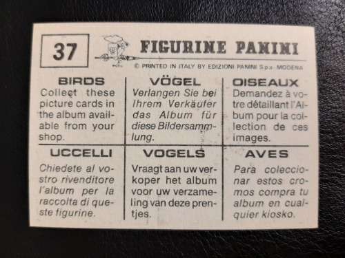 Figurine Panini Birds Sticker #37 (1979)