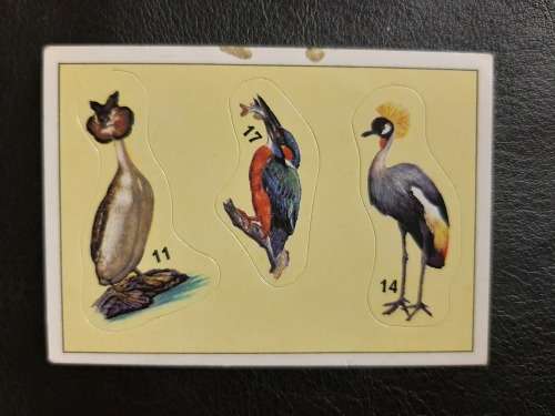 Figurine Panini Birds Sticker #7 (1979)