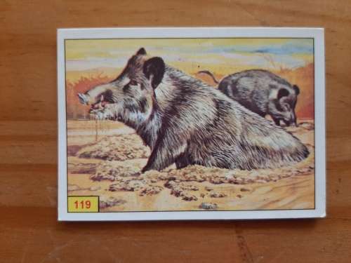 Figurine Panini Mammals Sticker #119 (1978)