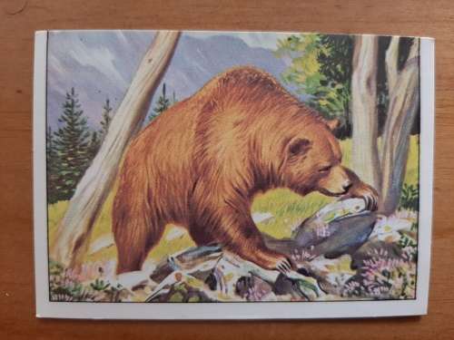 Figurine Panini Mammals Sticker #297 (1978)