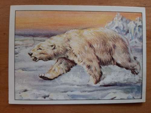 Figurine Panini Mammals Sticker #301 (1978)