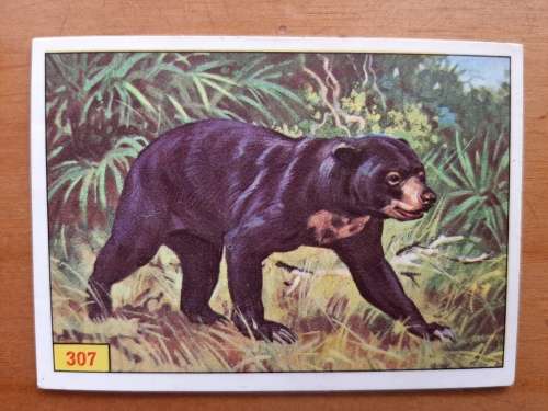 Figurine Panini Mammals Sticker #307 (1978)