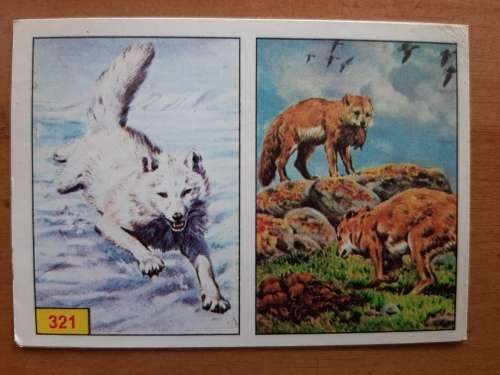 Figurine Panini Mammals Sticker #321 (1978)