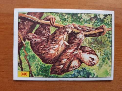 Figurine Panini Mammals Sticker #340 (1978)