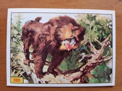 Figurine Panini Mammals Sticker #380 (1978)