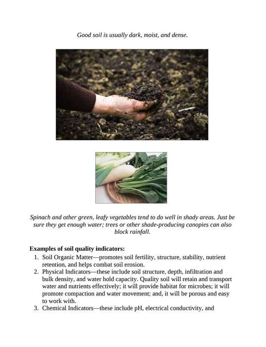The Homesteading Handbook PDF