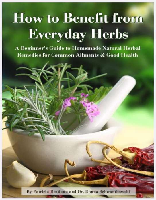 How to benefit from Everyday Herbs Ebook PDF