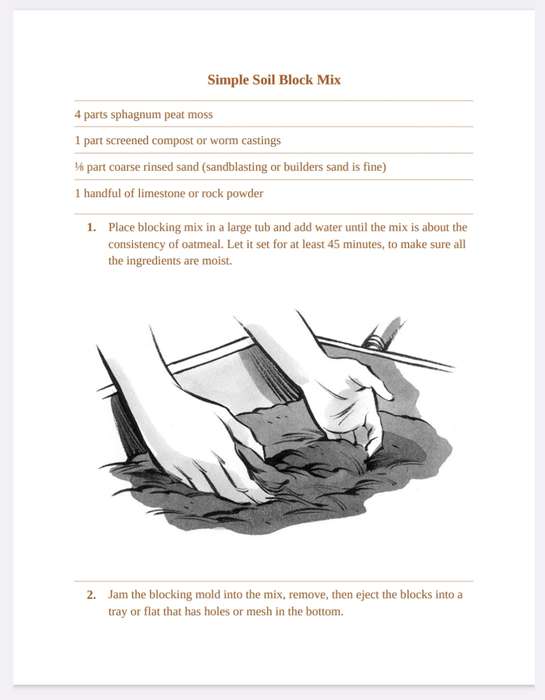 Starting Seeds Ebook PDF