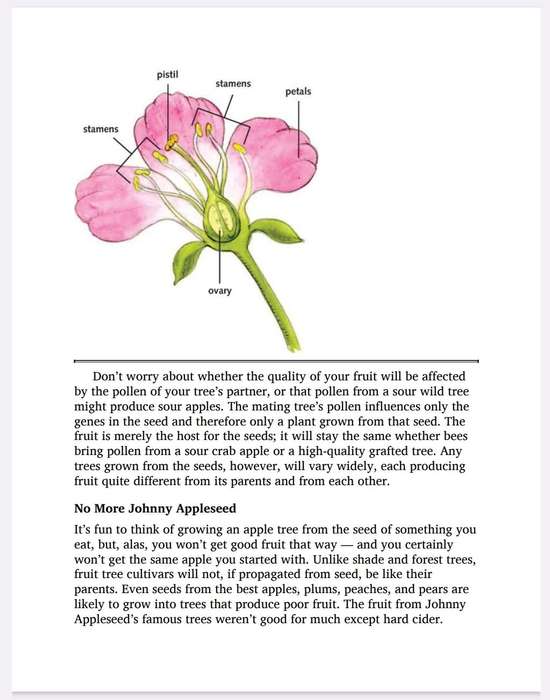 The Fruit Gardeners Bible Ebook PDF