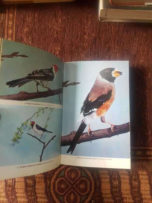 The Handbook of Foreign Birds, First Edition by A. Rutgers
