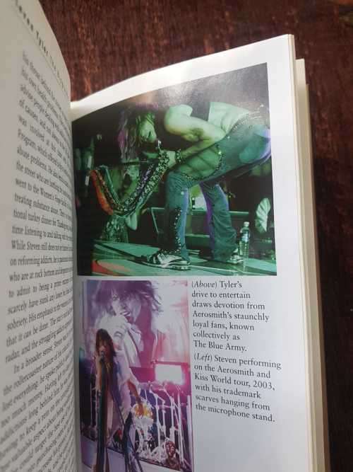 Steven Tyler, First Edition by Lauren Jackson.  The biography
