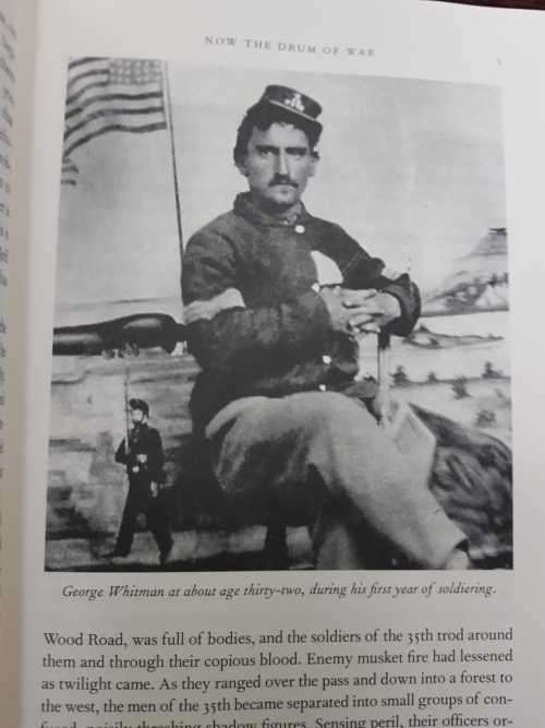 Walt Whitman / civil war / Now the Drum of War, First Edition by Robert Roper