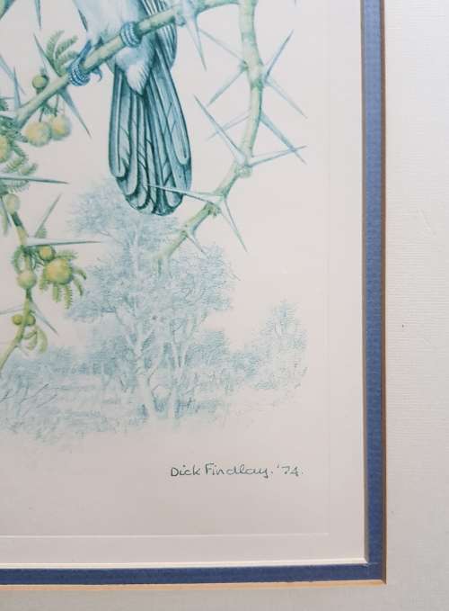 Dick Findlay Print 1974 original vintage folio print dated 1974 not a reproduction or modern copy.