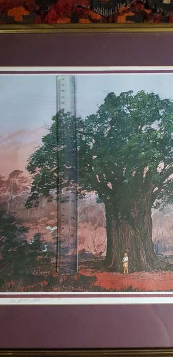BRIAN ADNAM RARE SIGNED LIMITED EDITION PRINT