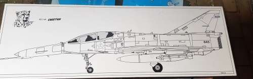 CHEETAH SADF