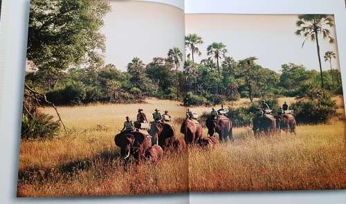 Signed First Edition Africana Elephants For Africa Rare