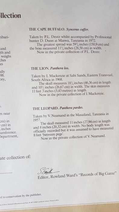 The Leopard SIGNED BY KEITH JOUBERT