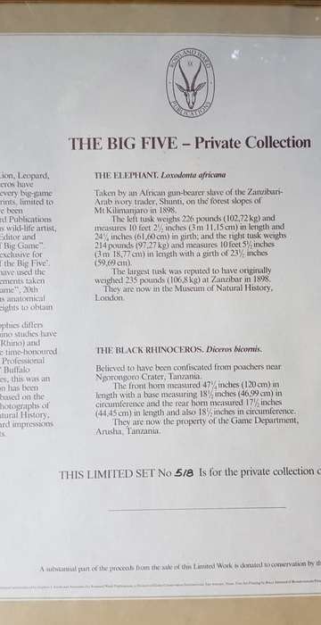 The Leopard SIGNED BY KEITH JOUBERT