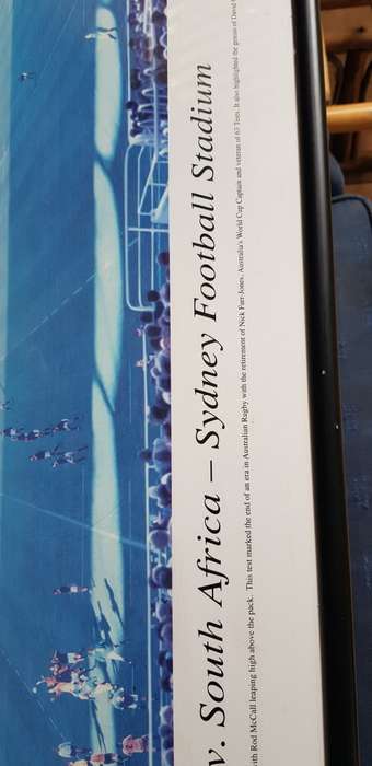 Springboks Litho Print Number 16 from 500 Springboks