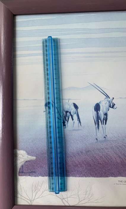 The Gemsbok Rainment 55cm X 45cm