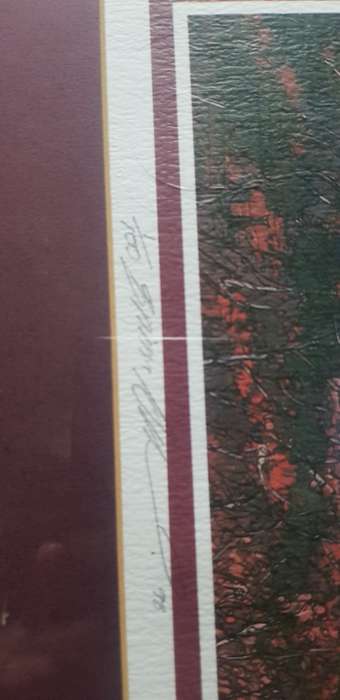 BRIAN ADNAM RARE SIGNED LIMITED EDITION PRINT