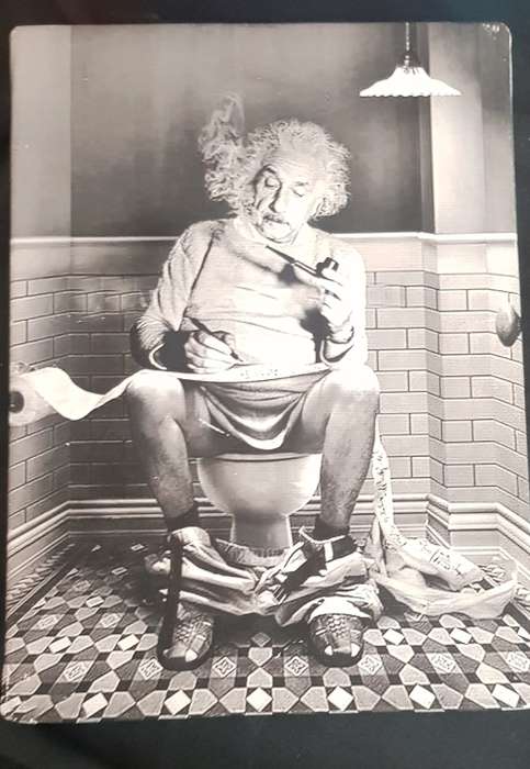 Einstein CANVAS ON BOARD