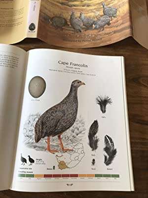 BIRDS AGREDS Gamebirds of South Africa BIRDS AP Viljoen BIRDS