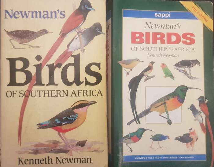 Birds Newmans Birds Southern Africa Birds