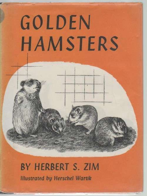 GOLDEN HAMSTERS - HERBERT S ZIM (1 ST PUBLISHED 1967)