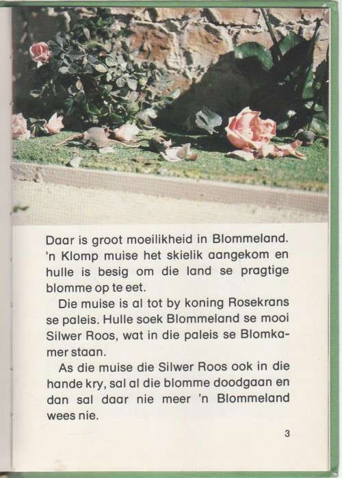 LIEWE HEKSIE KRY `N KAT - VERNA VELS (TV REEKS - 1 STE UITGAWE 1979)