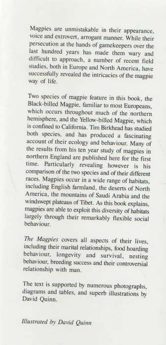 THE MAGPIES - T R BIRKHEAD (1 ST PUBLISHED 1991)