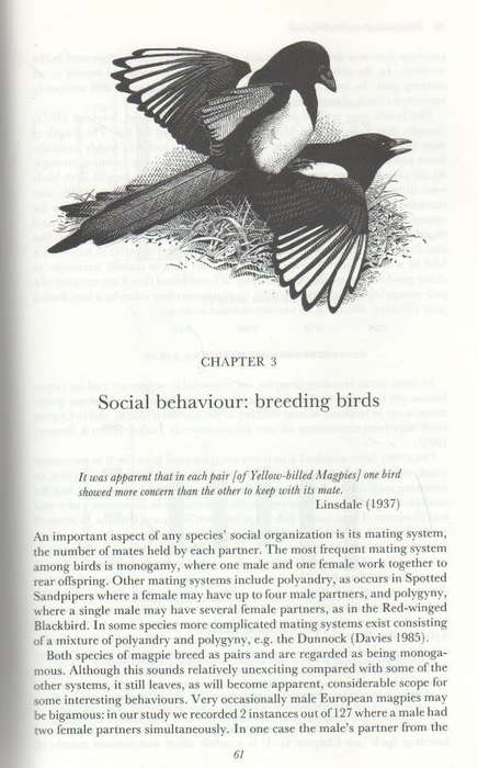 THE MAGPIES - T R BIRKHEAD (1 ST PUBLISHED 1991)