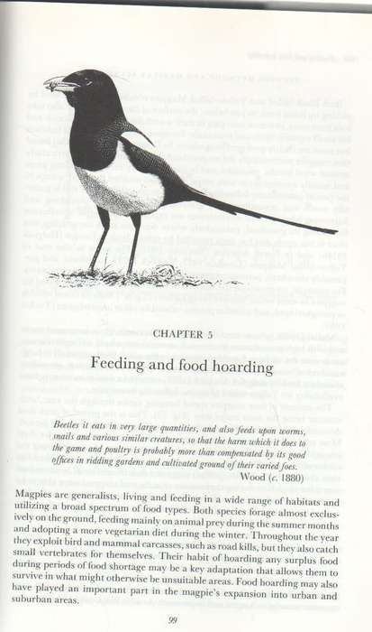 THE MAGPIES - T R BIRKHEAD (1 ST PUBLISHED 1991)