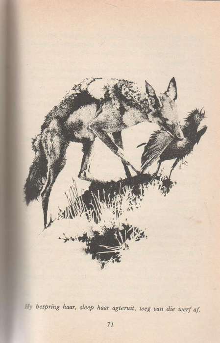 DIE BIDSPRINKAAN EN DIE MAAN EN ANDER VERHALE - MARGUERITE POLAND (1 STE UITGAWE 1980)