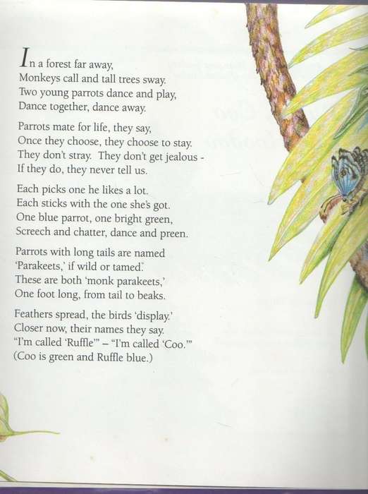 RUFFLE COO AND HOO DOO - RANDY HOUK (1993)
