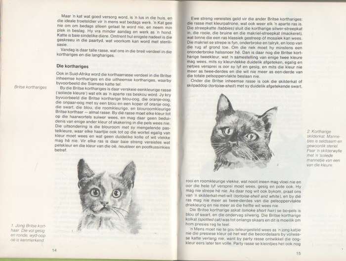KATTE HONDE EN APIES - ANNA JONKER (1 STE DRUK 1982)