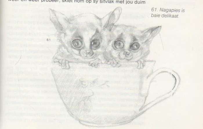 KATTE HONDE EN APIES - ANNA JONKER (1 STE DRUK 1982)
