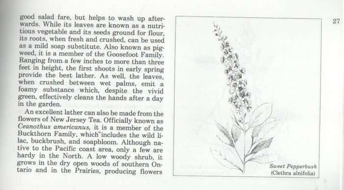 THE ART OF SOAP MAKING - MERILYN MOHR (1979)