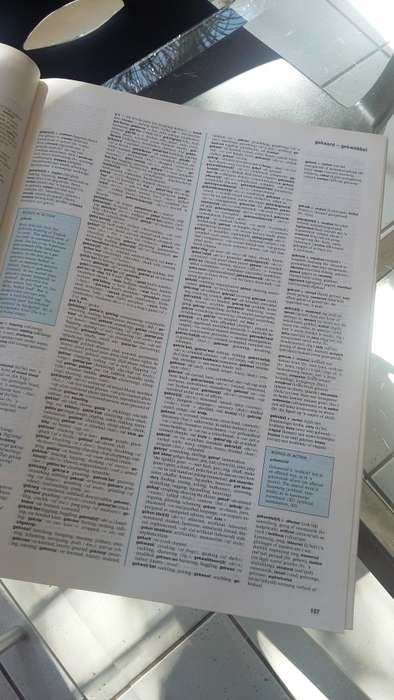 Reader's Digest Afrikaans/English Dictionary (hardcover)